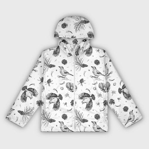 Женская ветровка Сойка в Бузулукском бору / 3D-Белый – фото 1